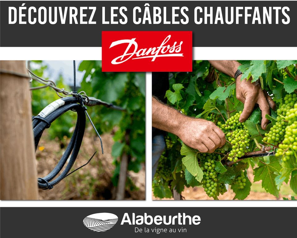 Protégez vos vignes avec le câble électrique chauffant Vineyard Protect !