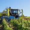 Rogneuses Multi-rangs P 3400 Collard pour vignes étroites – Image 3