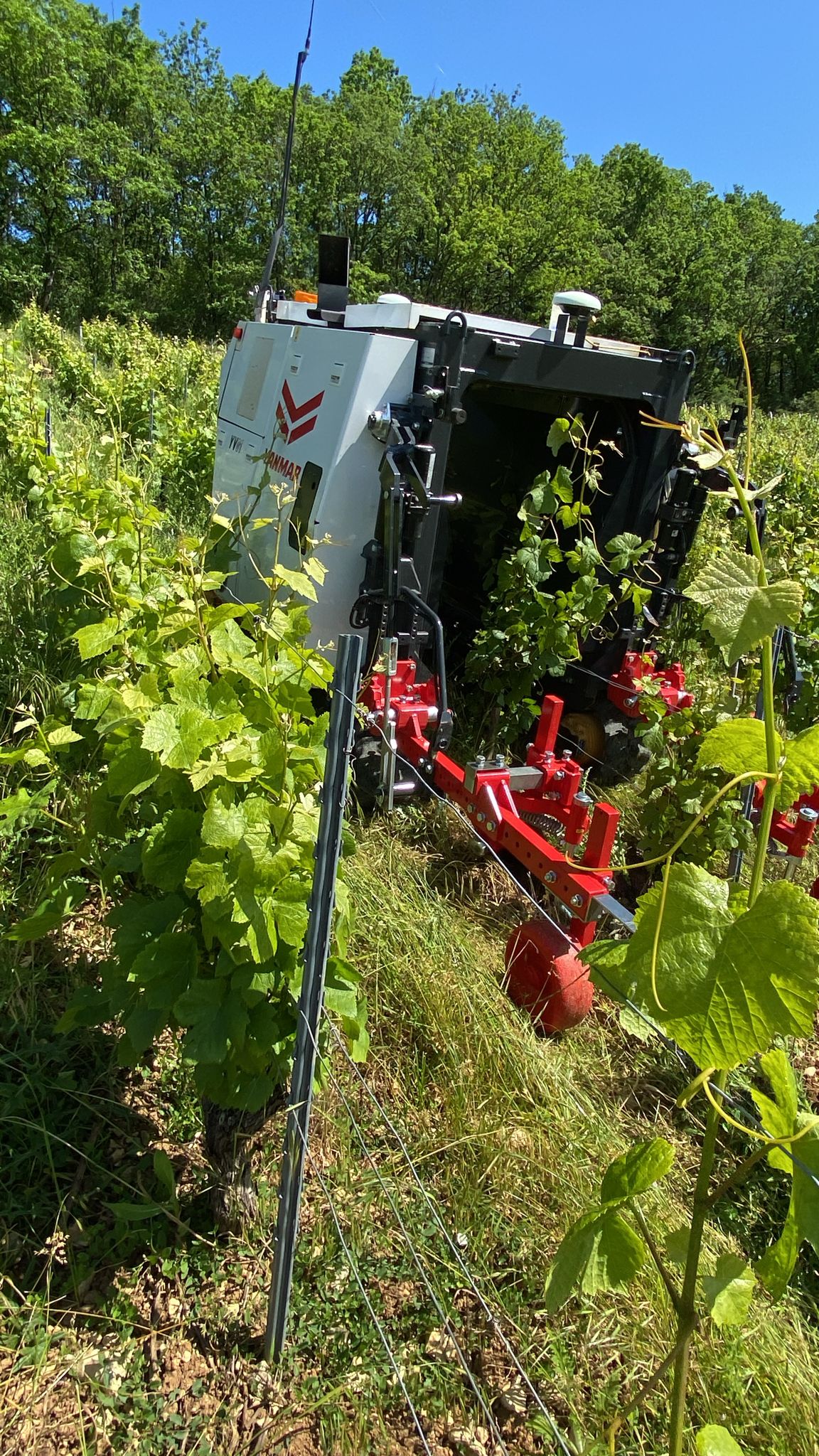 Démonstration du chenillard Autonome Yanmar YV01