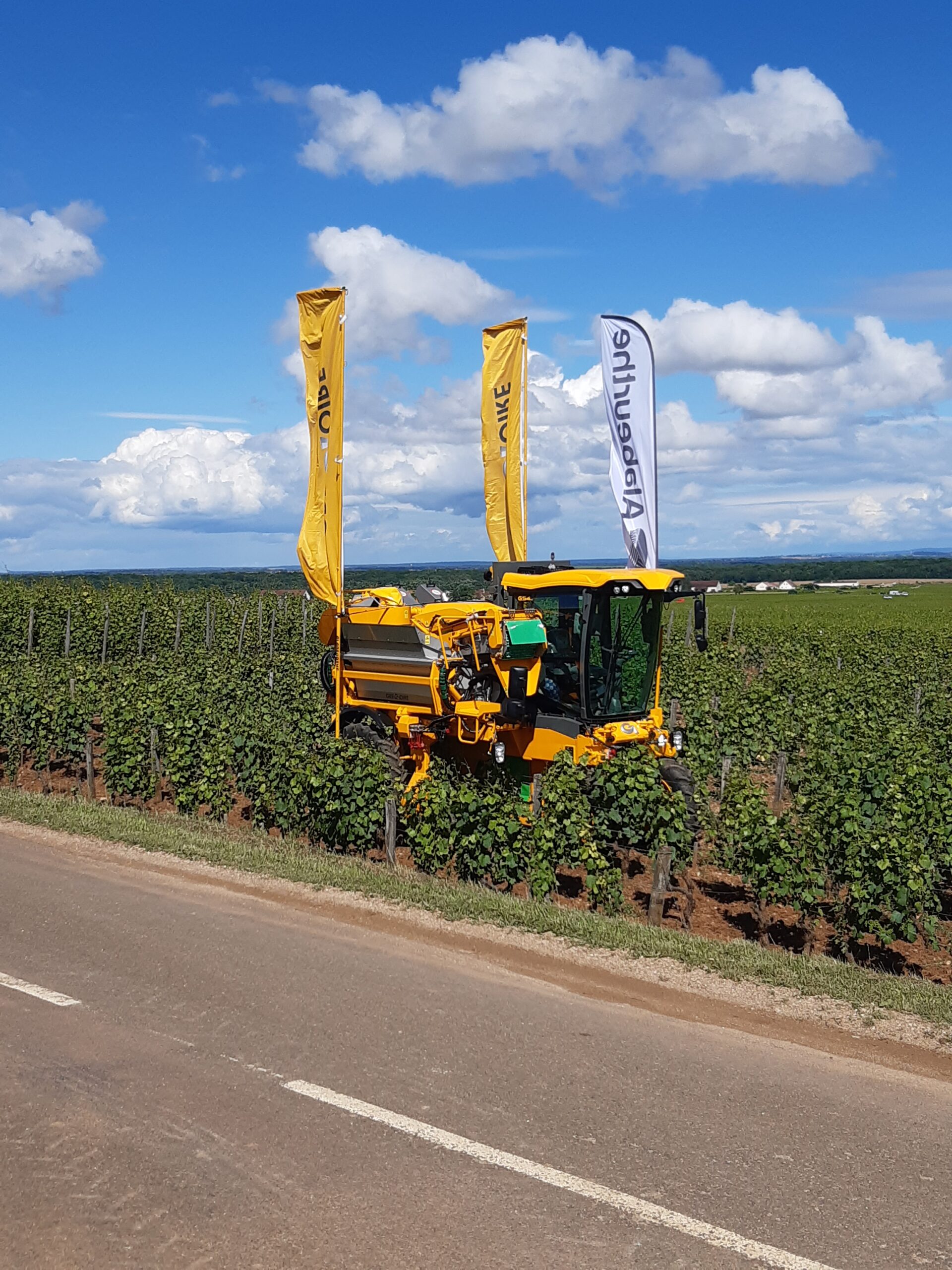 Tour de France entre Nuits-Saint-Georges et Gevrey-Chambertin 🚴‍♀️