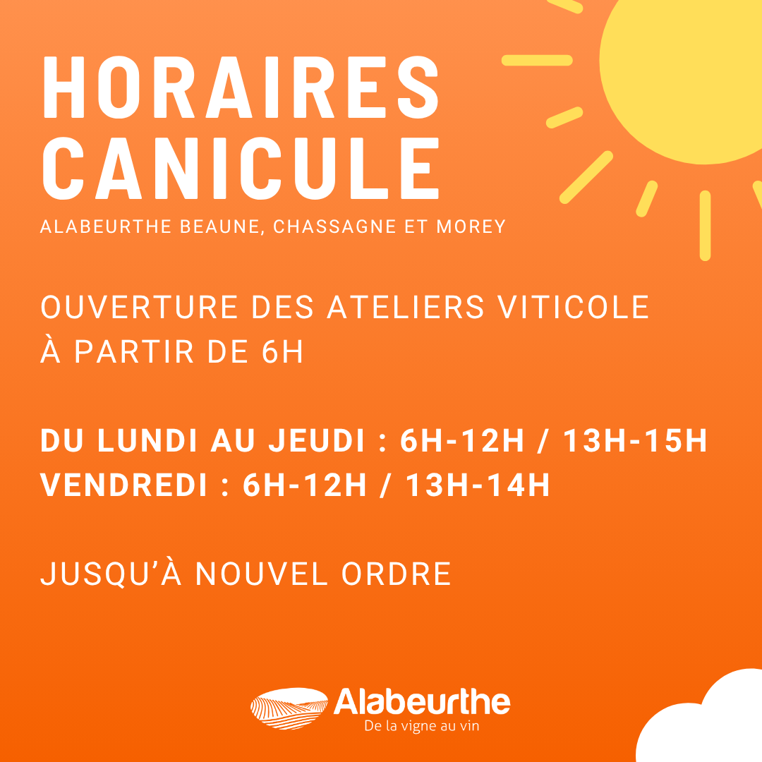 HORAIRES CANICULE 21