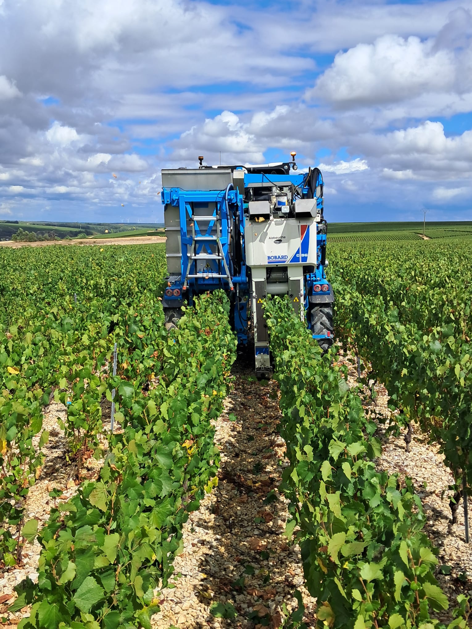 Les démonstrations continuent à Chablis !